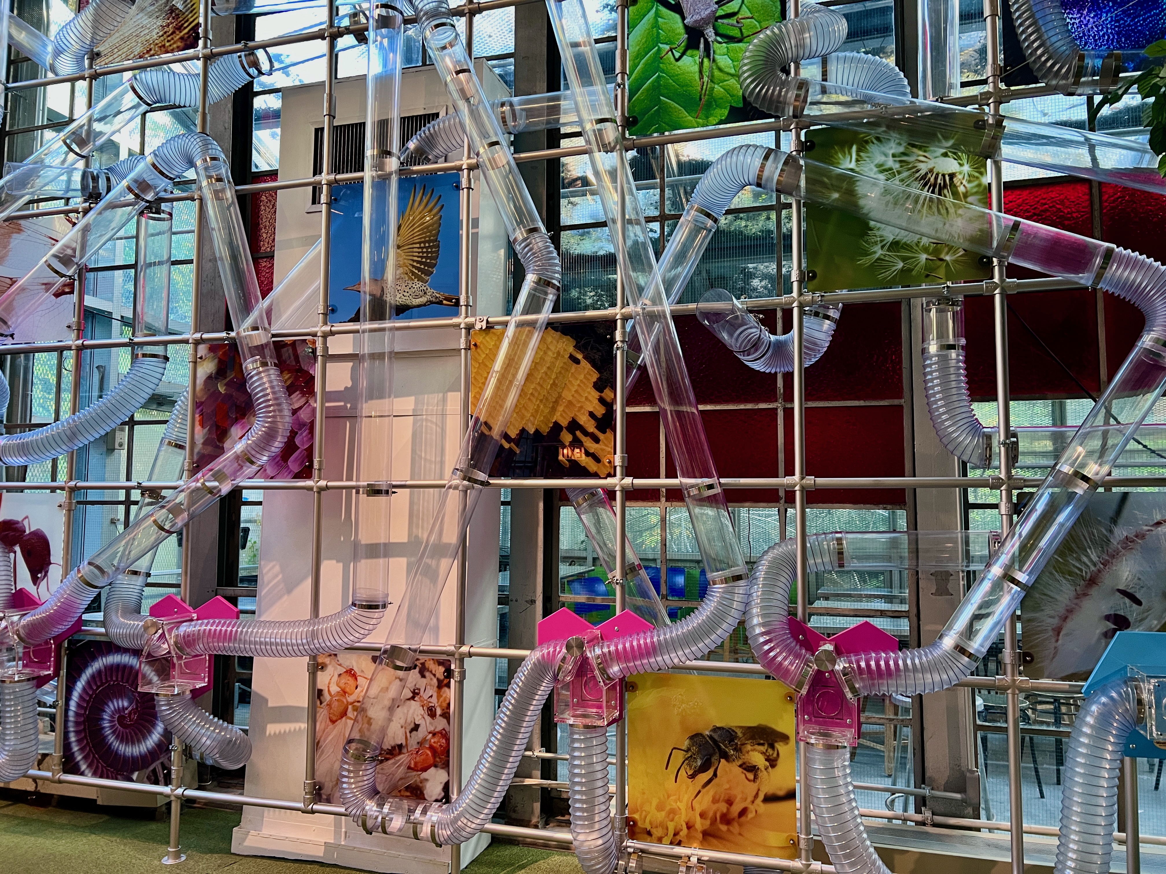 BCM AirMaze exhibit
