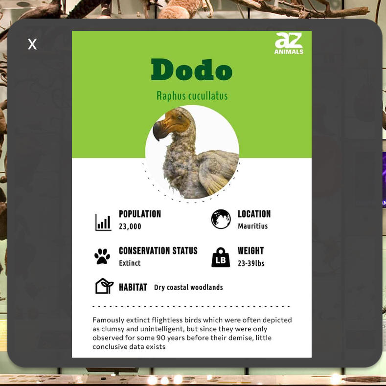 Dodo bird information, including population and location