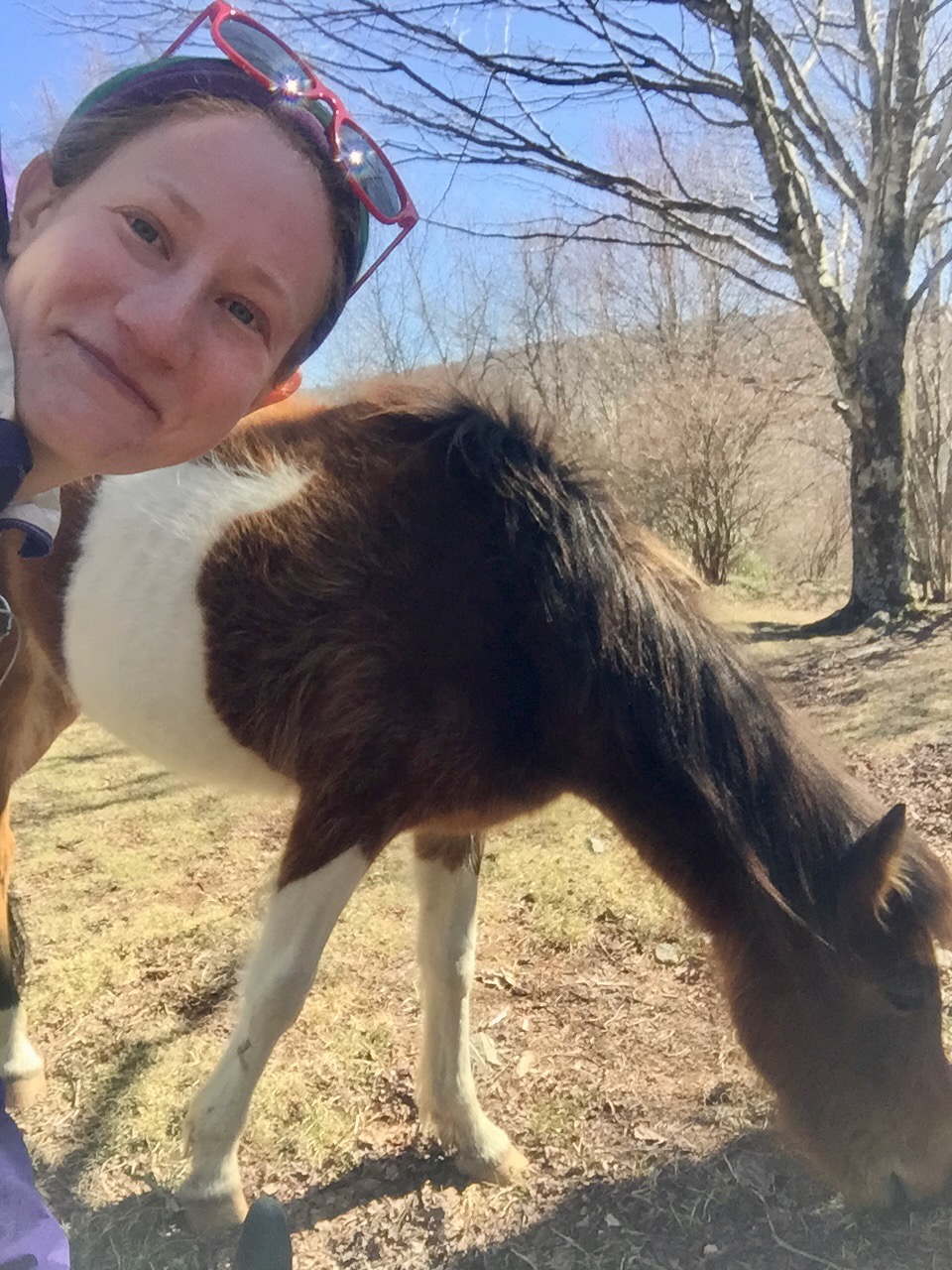 Selfie in front of a wild pony grazing