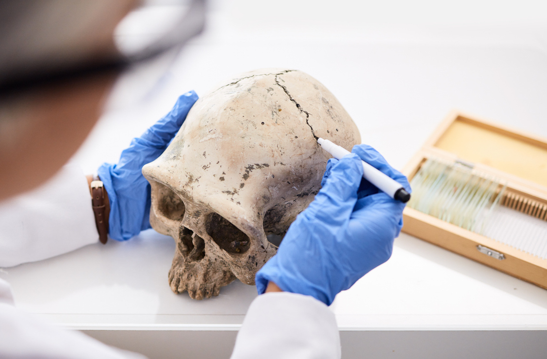 Scientist in a lab taking samples from a human-like skull